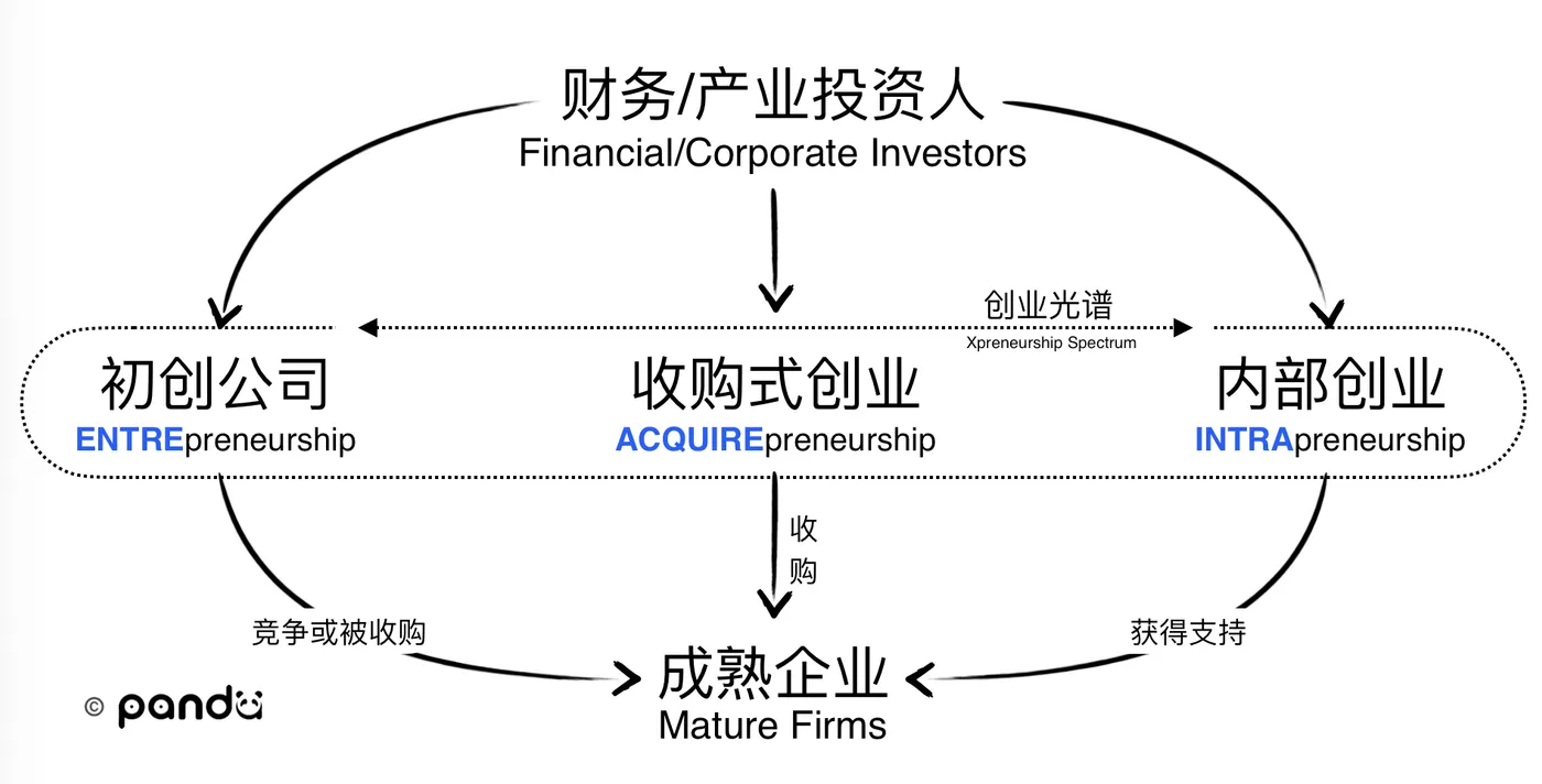 收购式创业位于创业光谱中的位置。